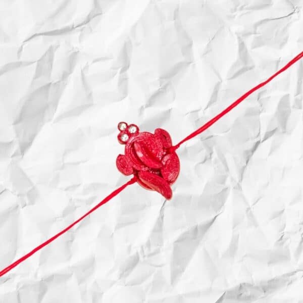 eco friendly ganesh rakhi