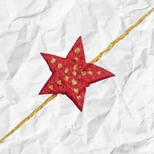 organic eco friendly rakhi