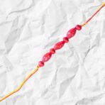 organic eco friendly rakhi