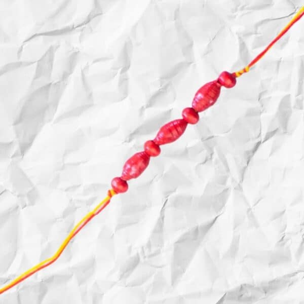 organic eco friendly rakhi