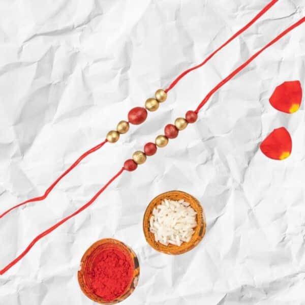 organic eco friendly terracotta rakhi