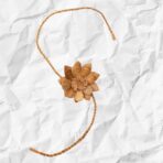 organic eco friendly water hyacynth rakhi