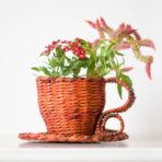 Cup and Saucer planter