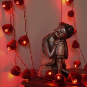 buy eco-friendly diwali lights