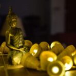 buy eco-friendly diwali lights