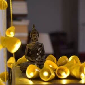 buy eco-friendly diwali lights