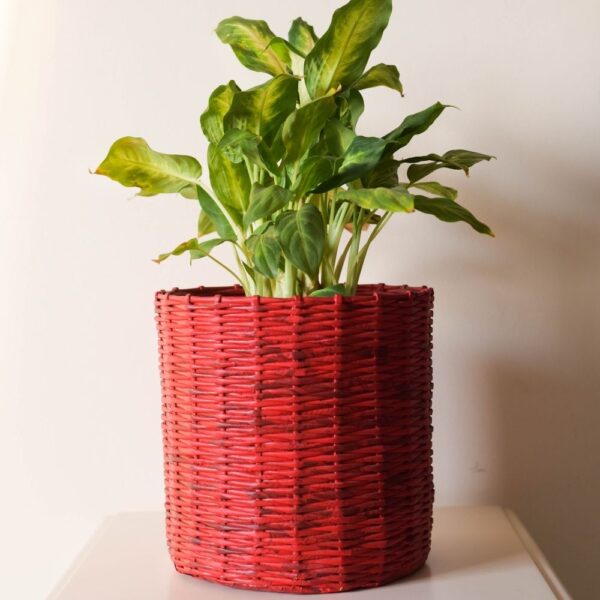 red-planter planter