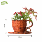 eco friendly planter