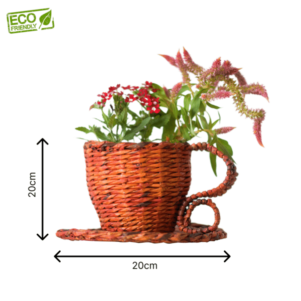 Dimensions cup & saucer eco friendly planter