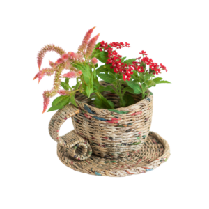 Paper Wings Eco Friendly Cup and Saucer (Natural)