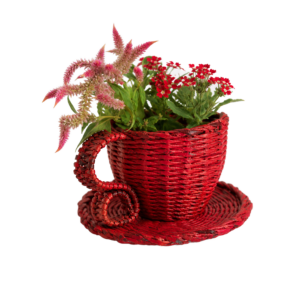 Paper Wings Eco Friendly Cup and Saucer (Red)