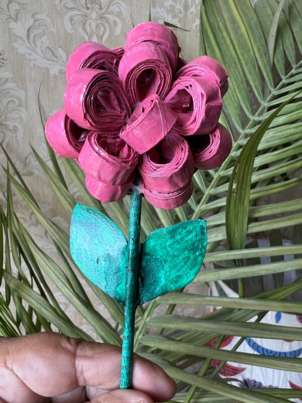 IMG_1209 IMG_1209